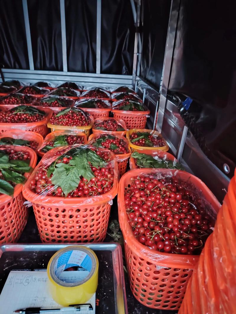 果园直供：破解水果销售难题的秘籍